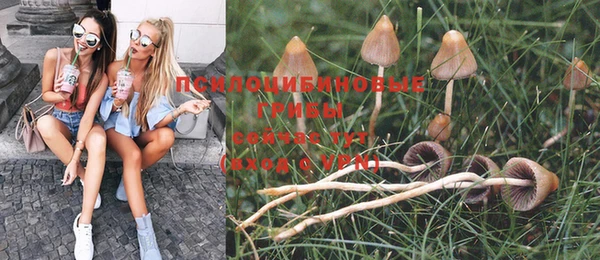 хмурый Елизово