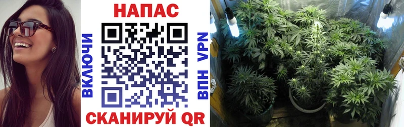Купить закладки Бирск Конопля White Widow